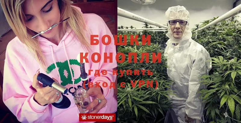 Каннабис OG Kush  Елабуга 